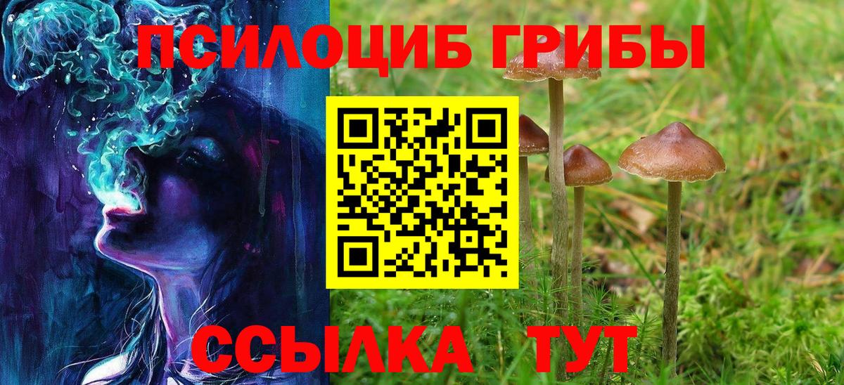 Бутурлиновка  Галлюциногенные грибы Psilocybe  Псилоцибиновые грибы Cubensis  Вход с VPN 